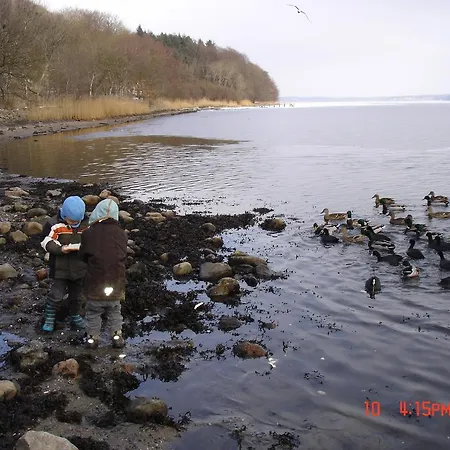 Vandrarhem Dansleep Padborg Padborg